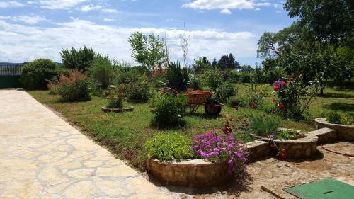 Sibenik House | Village House Fafarinka - close to Krka National Park