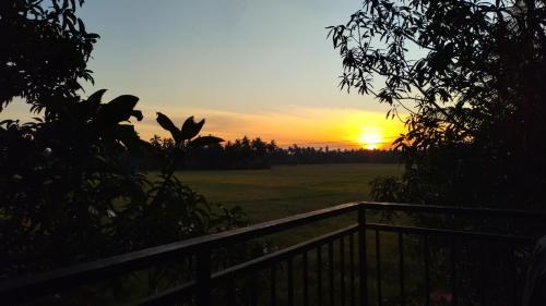Yodakandiya Hotel | Village Mango Resort Yala