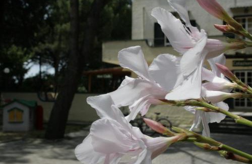 Misano Adriatico Resort | Villaggio Mithos