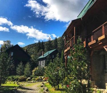 Bystrytsya Hotel | Vilni Vitry