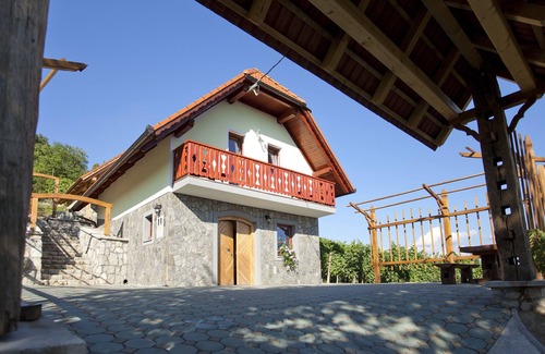 Trska Gora House | Vineyard cottage Luštek