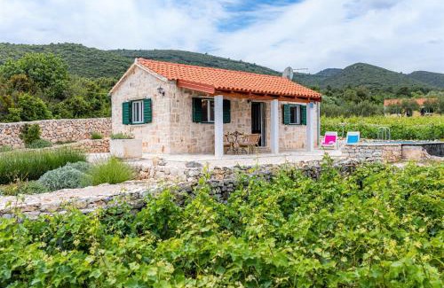 Kneza House | Vineyard House & Olive Grove House
