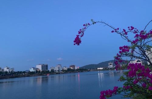 Quy Nhon Apartment | Violet Home 2