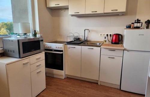 Korgessaare Apartment | Viscosa külaliskorter