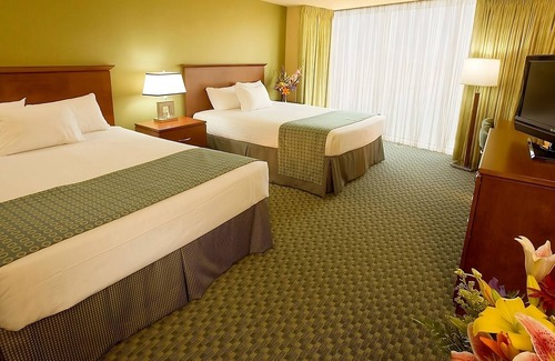 Laughlin Hotel | Visit The Mojave Desert! Nevadas Natural Wonders Minutes From Your Door
