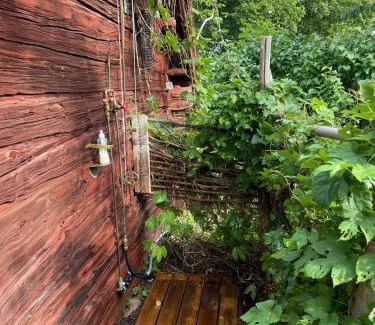 Lillykyrka Cabin | Vista Vibes Glamping -Chillbillystuga