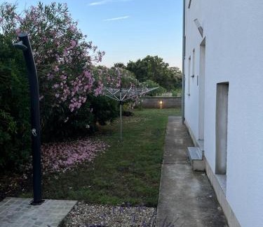 Zaton Apartment | Vitas Apartments