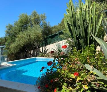 Ajaccio Villa | VIzzavona piscine et jacuzzi