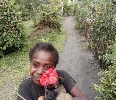 Tanna Island Bed & Breakfast | Volcano island paradise