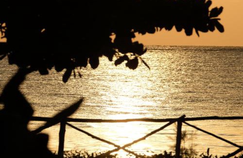 Paje Hotel | VRclub Paje Palms Beach Resort