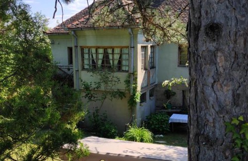 Central Serbia House | Vukina kuća - Brajkovac