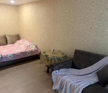 Zarasai Apartment | Vytauto 36a