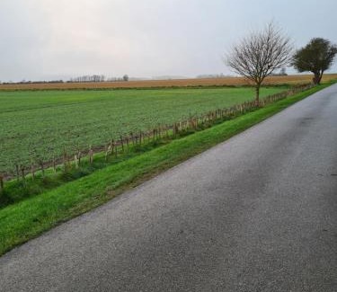 Winestead Other | Waders retreat