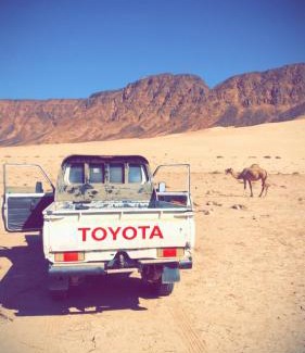 Wadi Rum Apartment | Wadi rum fasial camp