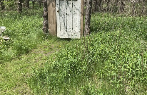 Hepworth House | Wagamese Glamping Bunkie, Hepworth, 3 Wooded Acres