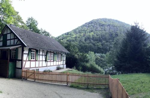 Zorge House | Waldhaus Staufenbergblick in Zorge