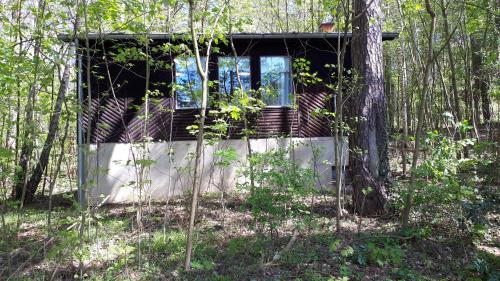 Schwielochsee House | Waldhaus Wiesengrund