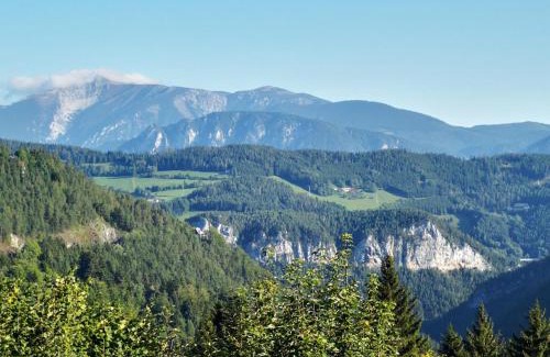 Semmering Apartment | Waldnest am Semmering