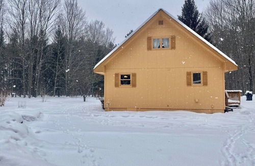 Benzonia Cabin | Walking distance to Betsie River & 10 minutes to Lake Michigan & Crystal Mnt!