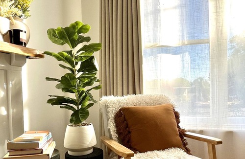 Mildura House | Walnut House - Stylish Comfort in Central Mildura