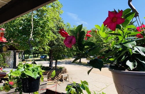 Oklahoma City House | WangShi China Palace Bed & Breakfast/Inn