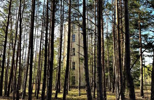 Spreetal House | Wasserturm Spreewitz