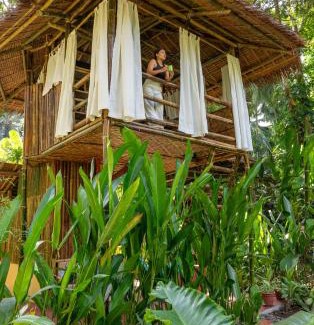 Loboc Bed & Breakfast | Water to Forest Ecolodge