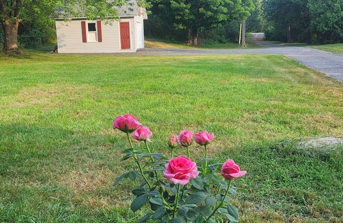Greater Napanee House | Waterfront 2br fully equipped private cottage with wooded area and large yard