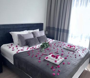 Savski Venac Apartment | Waterfront Belgrade Peaceful Nest Apartment