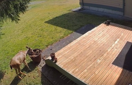 Anacortes House | Waterfront home on Guemes, the San Juan’s quietest island