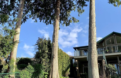 Regional District of Nanaimo House | Waterfront private room in Nanaimo with free parking