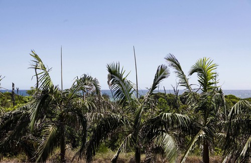 Byron Bay Villa | Waves Everyday - unobstructed view to beautiful Belongil Beach- no schoolies