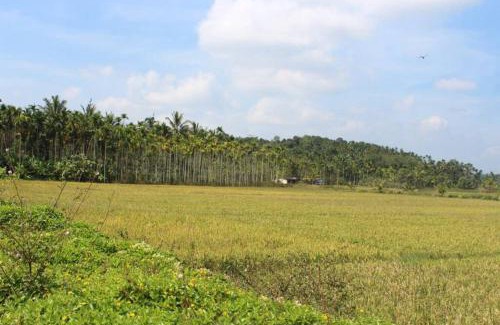 Panamaram Villa | Wayal Wayanad Honey moon villa