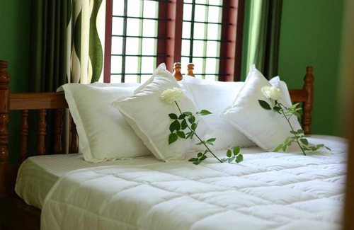 Kolagappara Bed & Breakfast | Wayanad Stay- The Coffee-suite