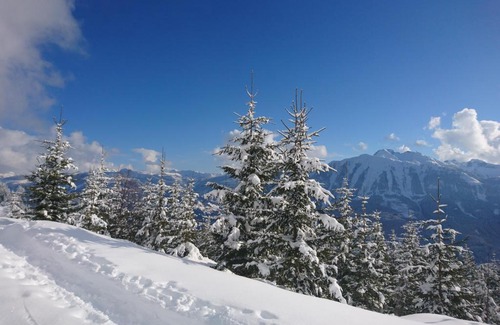 Sankt Veit im Pongau Apartment | Weidinghof