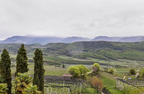 Caldaro Sulla Strada del Vino Apartment | Weingut Lieselehof Apt Panorama