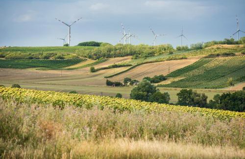 Neusiedl an der Zaya House | Weingut Martinshof
