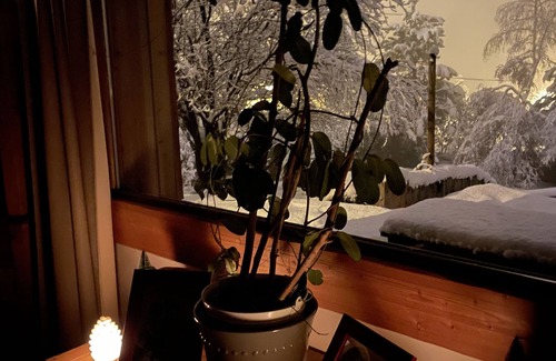 Forville Ski Chalet | Welcome in Les Brimbelles