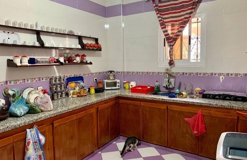 El Ensanche Bed & Breakfast | Welcome To AliensHome