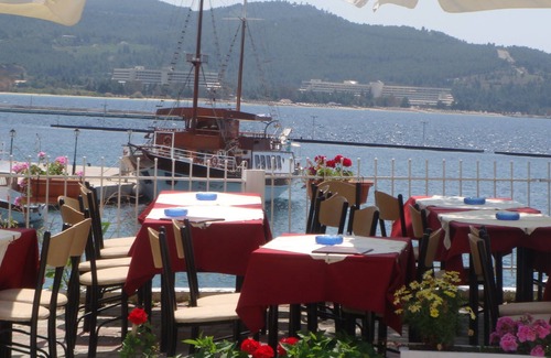 Neos Marmaras Bed & Breakfast | Welcome To Hotel petunia In greece, Para18dise no01