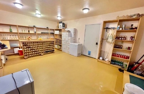 Grants Pass House | Welcome to the Beautiful Rancho Vista Vineyard!