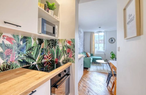 Rouen City Centre Apartment | Welcome to the Jungle - Hypercentre - Mylittlestay