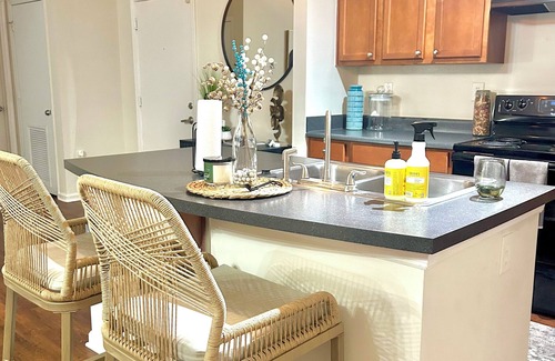 Arsenal Hill Apartment | Welcome to your urban oasis nestled in the heart of downtown!