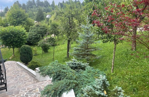 Borsa Apartment | Welcoming 2-bedroom apartment in Băile Borșa