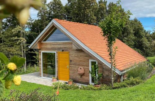 Ljutomer Apartment | Wellness hiška Robida