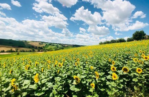 Recanati House | Wellness Hillside House In Le Marche