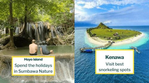 Sumbawa Besar Other | Whale shark Sumbawa Tour