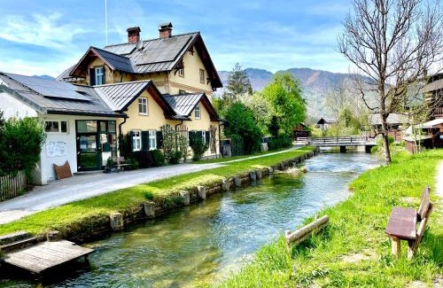 Bad Goisern Apartment | Whats-App Self-Check-IN - Villa Maria Theresia