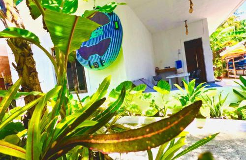 Dhidhdhoo Hotel | White Tern Maldives