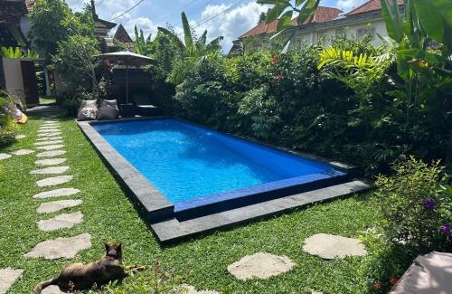Ubud City-Centre Apartment | Why Not Villas